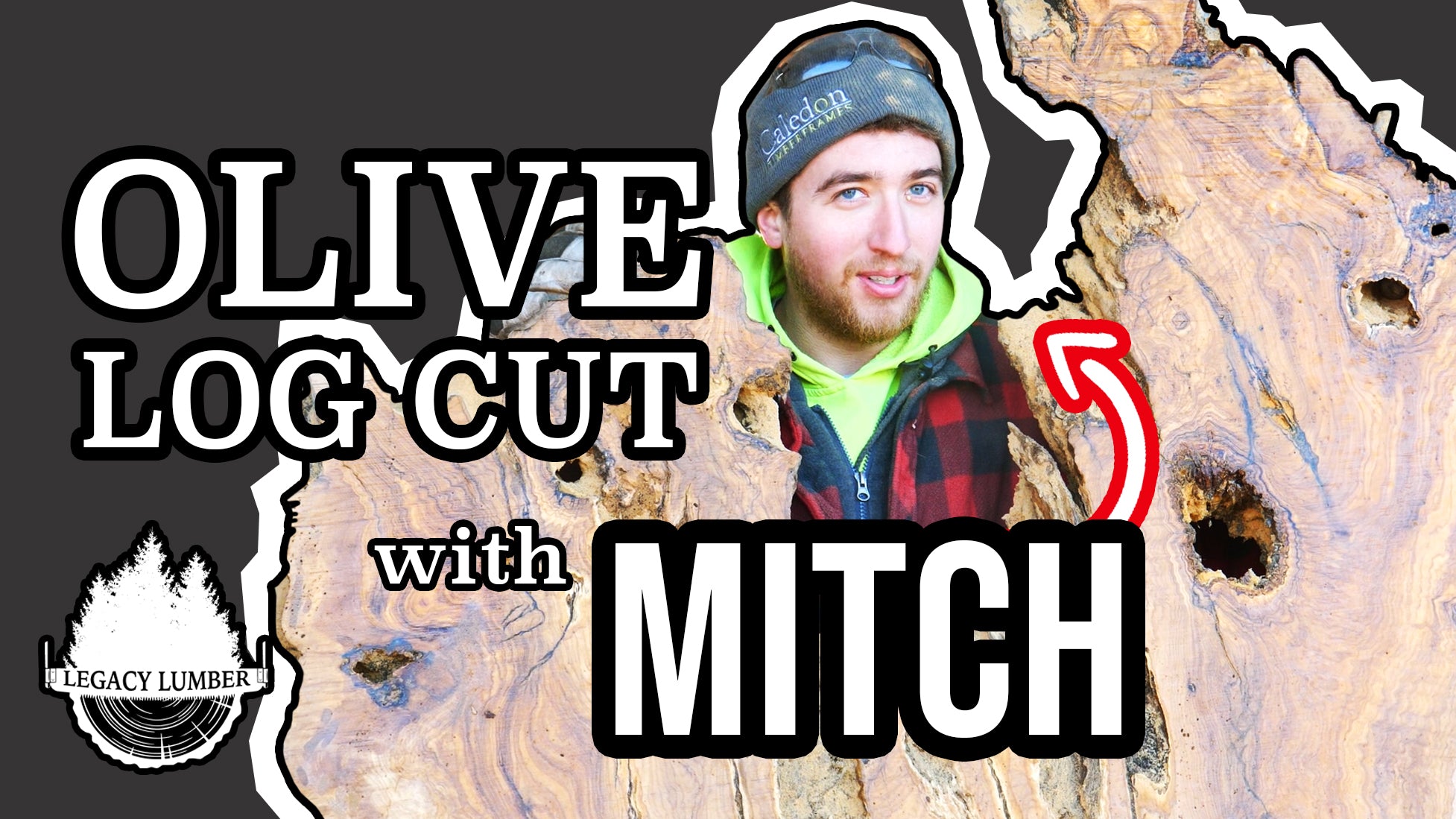 1200 Year Old Olive Log Cut with Mitch!
